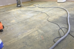 concrete-grinding-in-progress-carpet-glue-removal