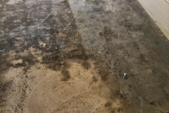 floor-being-ground-down-for-concrete-sealing