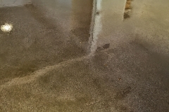 floor-coated-and-sealed-concrete-in-gilbert-az