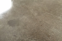 floor-coated-and-sealed-concrete-in-gilbert
