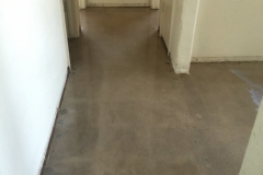 floor-ground-and-honed-prepped-for-sealing