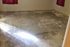 before-paint-removed-grounded-colored-floor