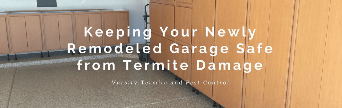 Keeping your newly remodeled garage safe from termite damage