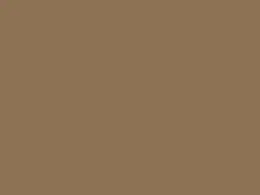 Standard Color Tatch Brown